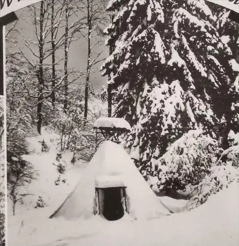 ÄLTERE POSTKARTE WINTERZAUBER IM HOCHHARZ KÖHLER KÖHLERHÜTTE Harz Wildfütterung Winter Schnee Ansichtskarte AK postcard