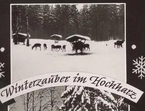 ÄLTERE POSTKARTE WINTERZAUBER IM HOCHHARZ KÖHLER KÖHLERHÜTTE Harz Wildfütterung Winter Schnee Ansichtskarte AK postcard