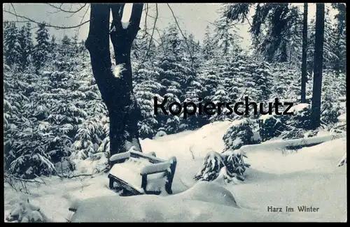 ALTE POSTKARTE HARZ IM WINTER 1917 BANK BAUM SCHNEEBEDECKT tree Winter Schnee snow hires Ansichtskarte AK cpa postcard