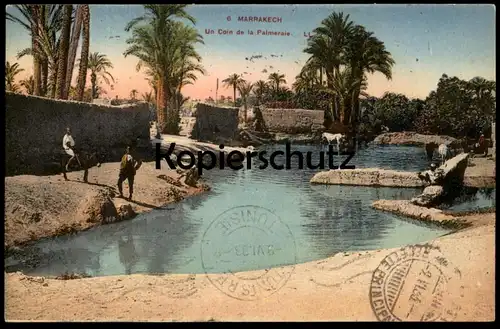 ALTE POSTKARTE MARRAKECH UN COIN DE LA PALMERAIE Maroc Marokko cpa postcard AK Ansichtskarte