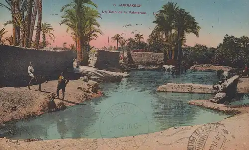 ALTE POSTKARTE MARRAKECH UN COIN DE LA PALMERAIE Maroc Marokko cpa postcard AK Ansichtskarte