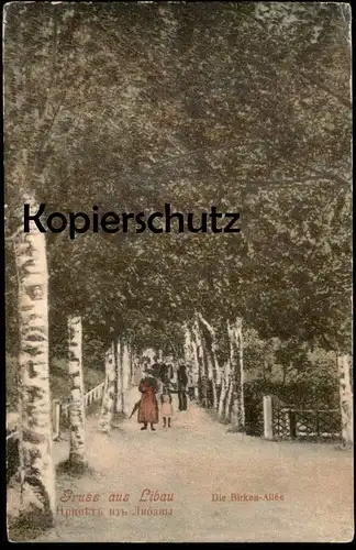 ALTE POSTKARTE GRUSS AUS LIBAU DIE BIRKEN-ALLÉE 1909 KURLAND BIRKENALLEE LIEPAJA alley cpa postcard AK Ansichtskarte