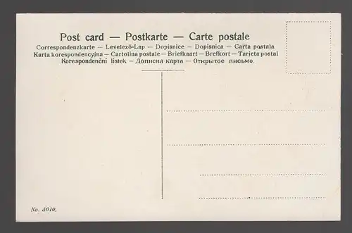 ALTE POSTKARTE GLÜCKSBOTE TAUBE MIT BRIEF BRIEFTAUBE Bote carrier pigeon voyageur Kleeblatt postcard cpa Ansichtskarte