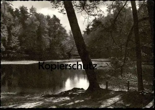 ÄLTERE POSTKARTE TEUTOBURGER WALD AM DONOPER TEICH DETMOLD See cpa postcard Ansichtskarte AK