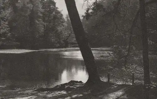 ÄLTERE POSTKARTE TEUTOBURGER WALD AM DONOPER TEICH DETMOLD See cpa postcard Ansichtskarte AK