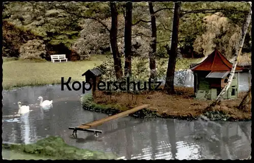 ÄLTERE POSTKARTE BAD NENNDORF ERLENGRUND TEICH ENTENHAUS SCHWÄNE GEMALTES KLEEBLATT Ansichtskarte AK cpa postcard