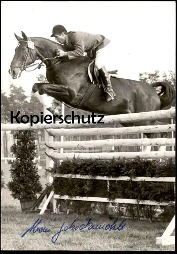 ÄLTERE POSTKARTE ALWIN SCHOCKEMÖHLE PFERD REITSPORT AUTOGRAMMKARTE Show Jumping Sport Horse Cheval Autograph postcard AK