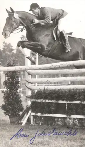 ÄLTERE POSTKARTE ALWIN SCHOCKEMÖHLE PFERD REITSPORT AUTOGRAMMKARTE Show Jumping Sport Horse Cheval Autograph postcard AK