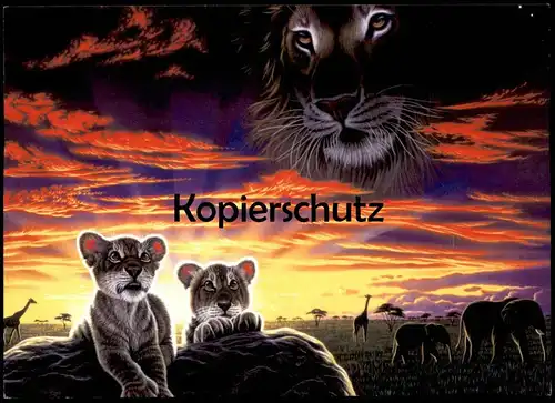 ÄLTERE POSTKARTE MOTHER EARTH FATHER SKY SCHIM SCHIMMEL Löwe Giraffe Elefant lion elephant Ansichtskarte postcard AK cpa