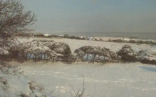 ÄLTERE POSTKARTE WINTER AM WATTENMEER AUF SYLT 1981 snow hiver Schnee Ansichtskarte AK cpa postcard