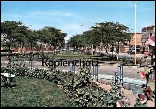 ÄLTERE POSTKARTE DAMMAM PUBLIC GARDENS DAMMAN Park Parc Saudi Arabia Saudi-Arabien postcard Ansichtskarte AK cpa