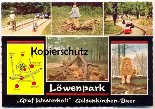 ÄLTERE POSTKARTE LÖWENPARK GRAF WESTERHOLT GELSENKIRCHEN-BUER LÖWENBABY Kegeln Kegelbahn ninepins postcard cpa postcard