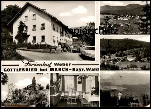 ÄLTERE POSTKARTE FERIENHOF WEBER GOTTLESRIED BEI MARCH BAYRISCHER WALD Zachenberg Ruhmannsfelden Pferde horses Blesse