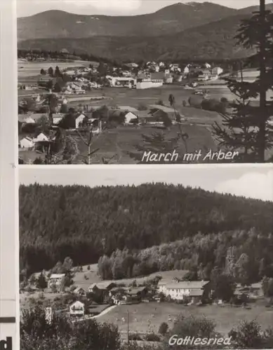 ÄLTERE POSTKARTE FERIENHOF WEBER GOTTLESRIED BEI MARCH BAYRISCHER WALD Zachenberg Ruhmannsfelden Pferde horses Blesse