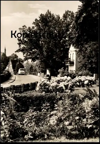 ÄLTERE POSTKARTE GRÜNHEIDE MARK KARL-MARX-STRASSE BUS OMNIBUS BLUMEN AK Ansichtskarte postcard cpa