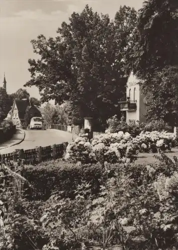 ÄLTERE POSTKARTE GRÜNHEIDE MARK KARL-MARX-STRASSE BUS OMNIBUS BLUMEN AK Ansichtskarte postcard cpa