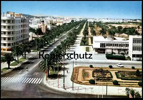 ÄLTERE POSTKARTE TUNIS AVENUE MOHAMED V Tunisia Tunisie Tunesien cpa postcard Ansichtskarte AK