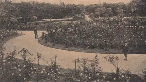 ALTE POSTKARTE GELSENKIRCHEN STADTGARTEN ROSENANLAGEN Rosen Garten Kind enfant child postcard cpa AK Ansichtskarte