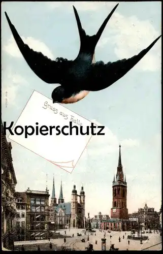 ALTE POSTKARTE GRUSS AUS HALLE SCHWALBE BRINGT MITTEILUNG BRIEF Vogel swallow bird avaler cpa postcard AK Ansichtskarte