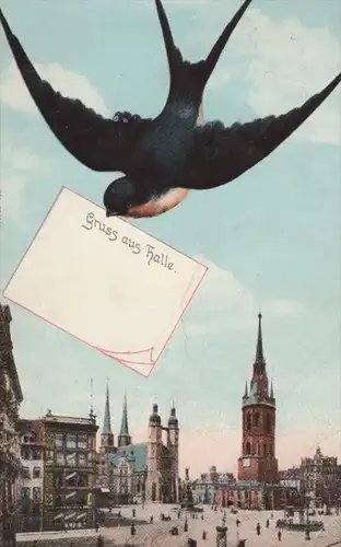 ALTE POSTKARTE GRUSS AUS HALLE SCHWALBE BRINGT MITTEILUNG BRIEF Vogel swallow bird avaler cpa postcard AK Ansichtskarte