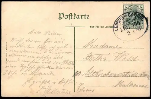 ALTE POSTKARTE GRUSS AUS HALLE SCHWALBE BRINGT MITTEILUNG BRIEF Vogel swallow bird avaler cpa postcard AK Ansichtskarte