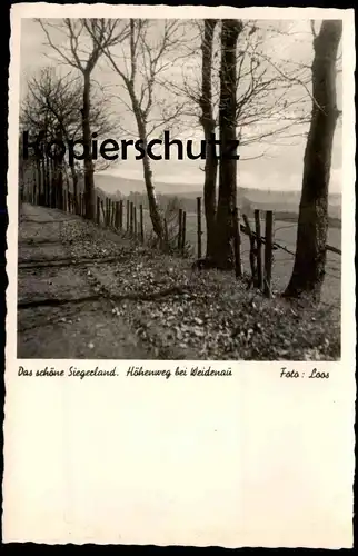 ALTE POSTKARTE DAS SCHÖNE SIEGERLAND HÖHENWEG BEI WEIDENAU FOTO LOOS Waldweg cpa postcard AK Ansichtskarte