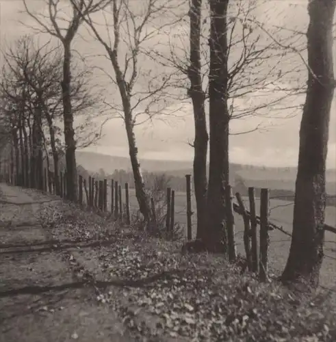 ALTE POSTKARTE DAS SCHÖNE SIEGERLAND HÖHENWEG BEI WEIDENAU FOTO LOOS Waldweg cpa postcard AK Ansichtskarte