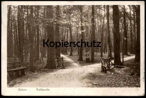 ALTE POSTKARTE UELZEN WALDPARTIE Wald Bäume Holz forest Ansichtskarte postcard AK cpa