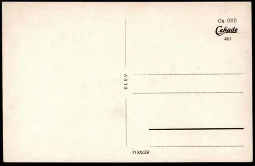 ALTE POSTKARTE OSNABRÜCK PARTIE IM BÜRGERPARK 1942 Blumenbeet Park parc cpa AK Ansichtskarte postcard