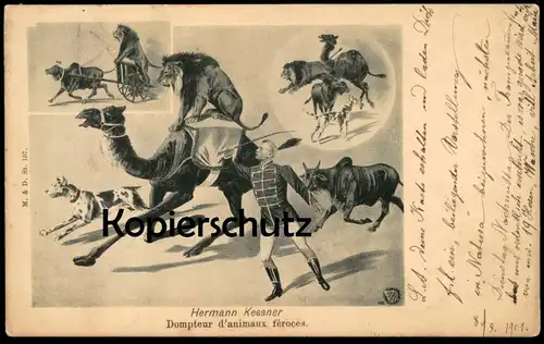 ALTE POSTKARTE HERMANN KESSNER DOMPTEUR D'ANIMAUX FÉROCES Zirkus Knie cirque circus dresseur Dressur Zürich postcard