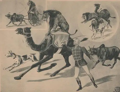 ALTE POSTKARTE HERMANN KESSNER DOMPTEUR D'ANIMAUX FÉROCES Zirkus Knie cirque circus dresseur Dressur Zürich postcard