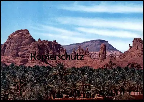 ÄLTERE POSTKARTE AL-ULA PALM GARDENS SAUDI ARABIA Saudi-Arabien Ansichtskarte AK cpa postcard
