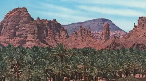 ÄLTERE POSTKARTE AL-ULA PALM GARDENS SAUDI ARABIA Saudi-Arabien Ansichtskarte AK cpa postcard