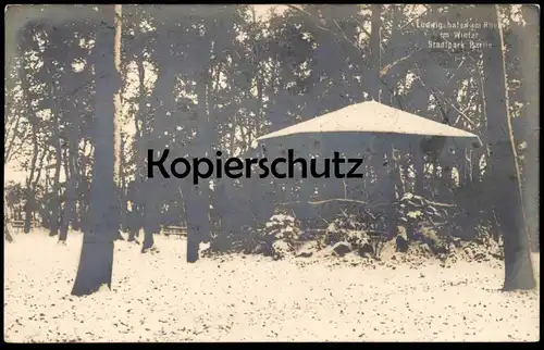 ALTE POSTKARTE LUDWIGSHAFEN AM RHEIN IM WINTER STADTPARK SCHNEE PARK PARTIE hiver snow Ansichtskarte cpa postcard AK