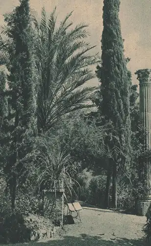 ALTE POSTKARTE GARTEN IN BORDIGHERA SEELCHENS REICH J. F. Steinkopf Stuttgart cpa Ansichtskarte postcard AK