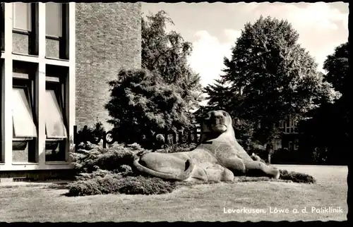 ÄLTERE POSTKARTE LEVERKUSEN BAYER-LÖWE AN DER POLIKLINIK lion Krankenhaus hospital Ansichtskarte AK postcard cpa