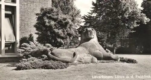 ÄLTERE POSTKARTE LEVERKUSEN BAYER-LÖWE AN DER POLIKLINIK lion Krankenhaus hospital Ansichtskarte AK postcard cpa