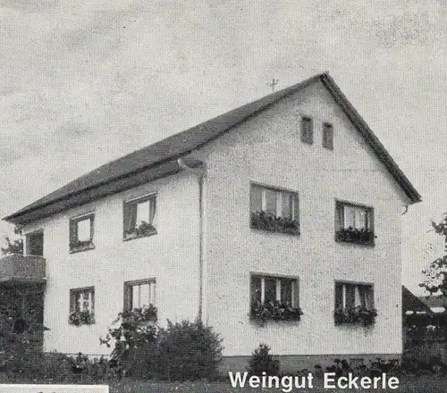 ÄLTERE POSTKARTE WEINDORF 7801 PFAFFENWEILER WEINGUT ECKERLE SCHUHGESCHÄFT BOSCH METZGEREI MAYER Ansichtskarte postcard