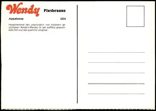 ÄLTERE POSTKARTE WENDY PFERDERASSEN APPALOOSA USA PFERD horse Fohlen horse cheval foal cpa AK postcard Ansichtskarte