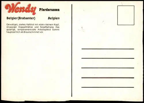 ÄLTERE POSTKARTE WENDY PFERDERASSEN BELGIER BRABANTER BELGIEN KALTBLUT ARBEITSPFERD Pferd horse cheval postcard AK cpa