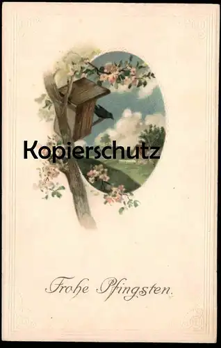 ALTE PRÄGE POSTKARTE FRÖHLICHE PFINGSTEN NISTKASTEN embossed gauffrée nest box cpa AK postcard Ansichtskarte