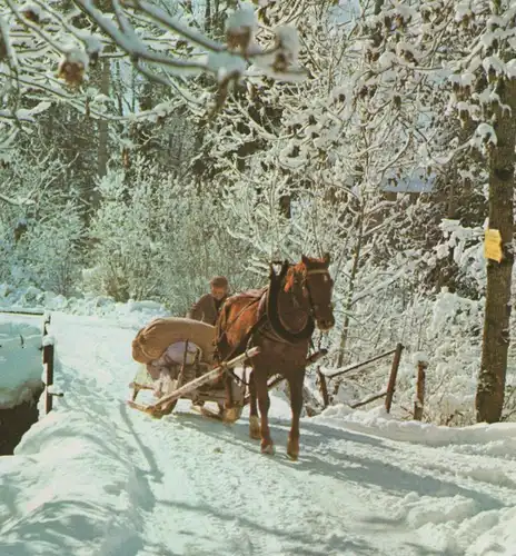 ÄLTERE POSTKARTE EIN GLÜCKLICHES NEUES JAHR PFERDESCHLITTEN PFERD SCHLITTEN horse cheval luge sleigh Blesse AK cpa