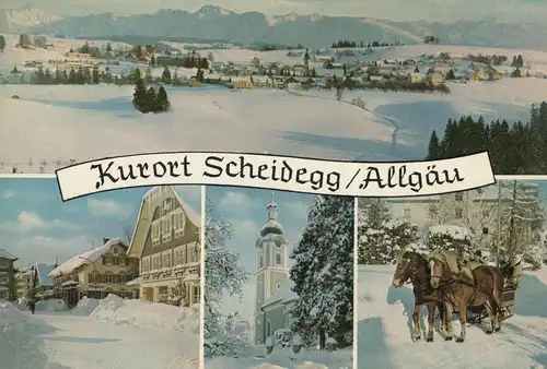 ÄLTERE POSTKARTE KURORT SCHEIDEGG ALLGÄU PFERDE SCHLITTEN WINTER horse cheval luge sleigh Blesse Ansichtskarte cpa AK