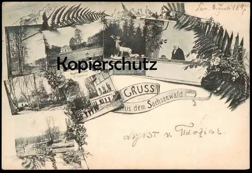 ALTE POSTKARTE GRUSS AUS DEM SACHSENWALD 1897 KUPFER-MÜHLE FRIEDRICHSRUH Aumühle AK postcard Ansichtskarte cpa
