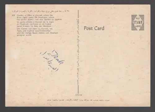 ÄLTERE POSTKARTE GARDEN OF EDEN AT GURNAH Tigris Euphrat Iraq cpa AK postcard Ansichtskarte