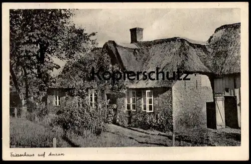 ALTE POSTKARTE FRIESENHAUS AUF INSEL AMRUM Reetdach Reet Bauernhaus Friesisches Haus Ansichtskarte cpa AK postcard