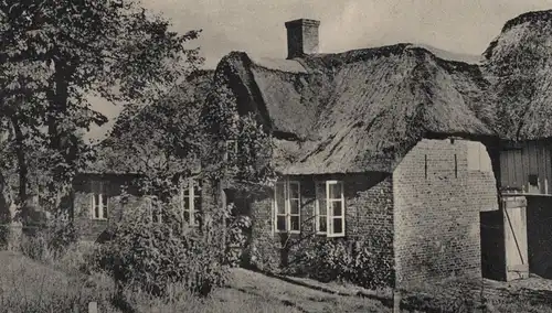 ALTE POSTKARTE FRIESENHAUS AUF INSEL AMRUM Reetdach Reet Bauernhaus Friesisches Haus Ansichtskarte cpa AK postcard