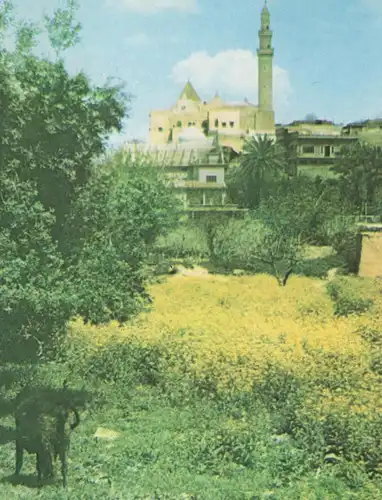 ÄLTERE POSTKARTE MOSUL MINARET IRAK Moschee mosque Iraq Mossoul cpa postcard AK Ansichtskarte