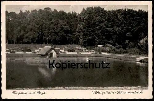ALTE POSTKARTE TREPTOW AN DER REGA 1942 KÖNIGSHAIN-SCHWANENTEICH Trzebiatow Pommern cpa AK postcard Ansichtskarte