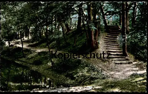 ÄLTERE POSTKARTE BERGEN N.H. KATTENBERG Noord-Holland Nederland postcard Ansichtskarte cpa AK